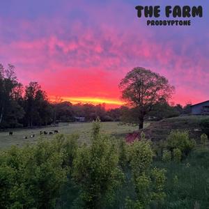 The Farm