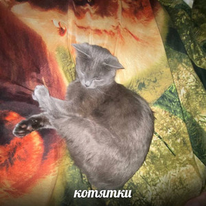 Котятки (Explicit)