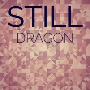 Still Dragon