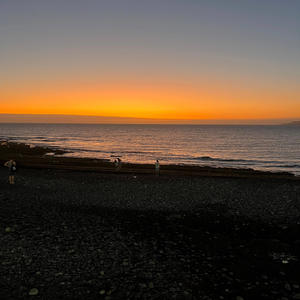 Is there anybody out there? (feat. Bassheads) (Radio Edit)