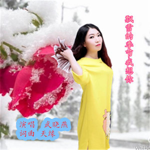 飘雪的季节我想你 (深情版)