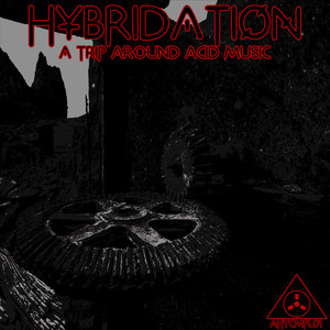 Hybridation