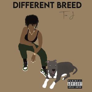 Different Breed (Explicit)