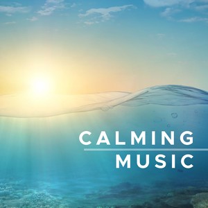 Meditation: Sea Sounds