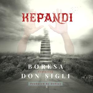 Kepandi (feat. Boresa & Don Sigli) [DrFiza Remix Radio Edit]