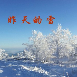 昨天的雪 (古筝版)