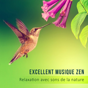 Excellent musique Zen: Relaxation avec sons de la nature – Piano ambiance, Relax et bien-être, Massage, Spa & Centre de beauté