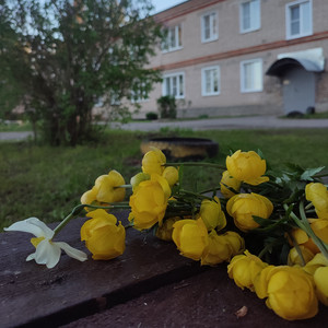 Жара