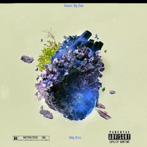 Excuse My Pain (Explicit)