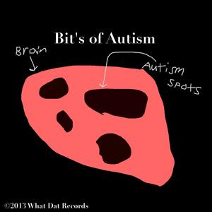 Bit's of Autism