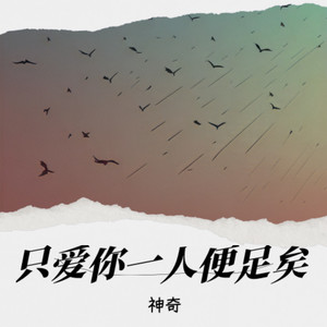 只爱你一人便足矣