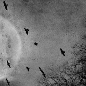 2 am freestyle wit my frens (Explicit)