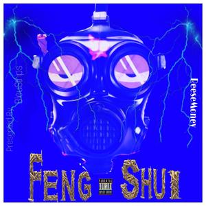 Feng Shui(feat. Shadow Lbe & Severe) (Explicit)