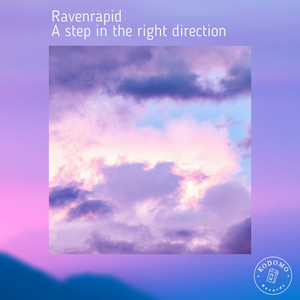 Ravenrapid - A Step in the Right Direction