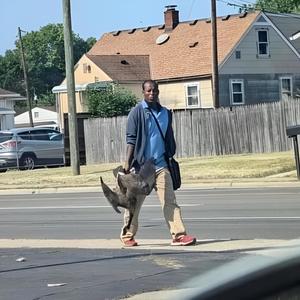 haitian immigrant (feat. $lither $aibot) (Explicit)