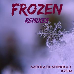 Frozen (Harry Michaels Remix)