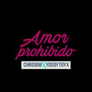 Amor Prohibido (feat. Toyx)