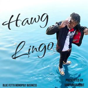 Hawg Lingo (Explicit)