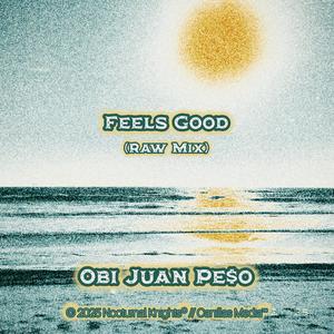 Feels Good (Raw Mix)