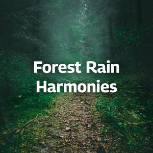 Forest Rain Harmonies