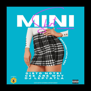 Mini Skirt (feat. Cee Are Why) [Explicit]