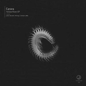 The Black River (John Barsik Remix)