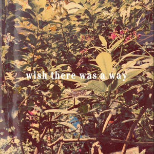 wish there was a way