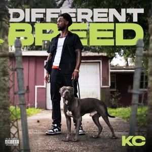 Different Breed (Explicit)