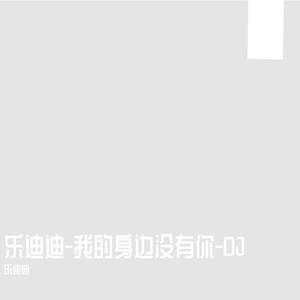 我的身边没有你-乐迪迪DJ