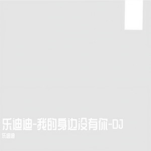 我的身边没有你-乐迪迪DJ