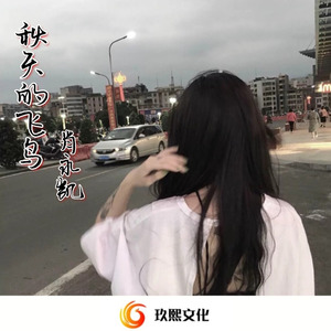 要不要和我处对象 (DJ版)