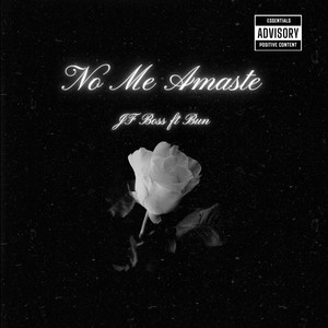 No me amaste (Instrumental)