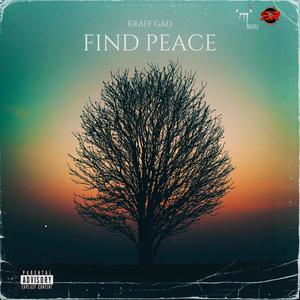 FIND PEACE (Explicit)