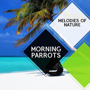 Morning Parrots - Melodies of Nature