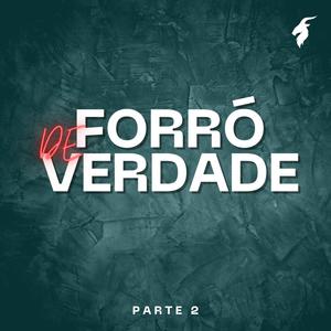 Forró de Verdade Parte 2 (Solo de Sertanejo Raiz)