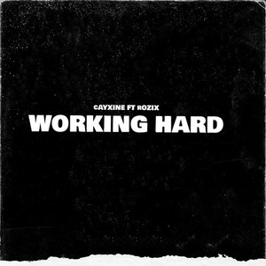 Working Hard Ft Rozix (Bonus Track) [Explicit]