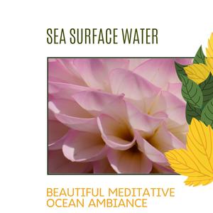 Sea Surface Water - Beautiful Meditative Ocean Ambiance