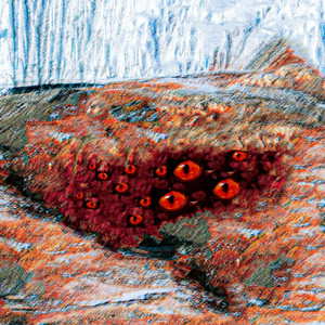 Antarctica (Explicit)