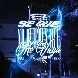 Se Que No Quieres Que Me Vaya (feat. 6glokk) (Explicit)