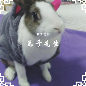 兔子先生 (正太版)