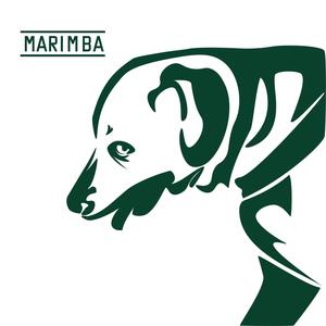 Marimba