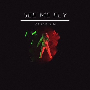 See Me Fly (Explicit)