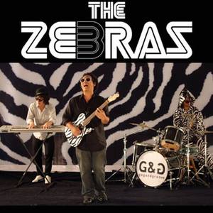 The Zebras (New Single)