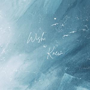 Wish U Knew (feat. 眼圈儿) (Acoustic Version)