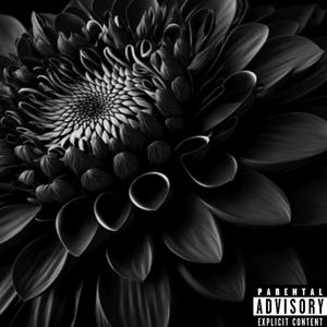 The Black Dahlia Tapes (Explicit)