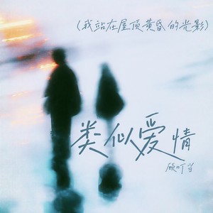 类似爱情(我站在屋顶黄昏的光影)封面