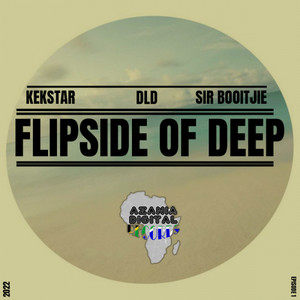 Flipside Of Deep (Sir Booitjie Remix)