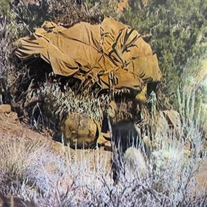 beefusssss has entered the chat (Explicit)