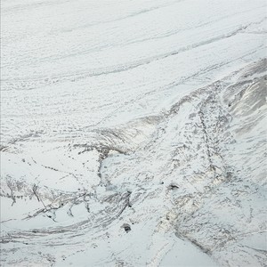 The Depressed Larvae