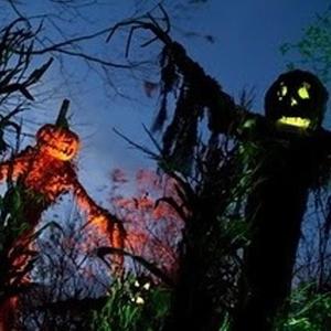 heebie jeebies (Explicit)